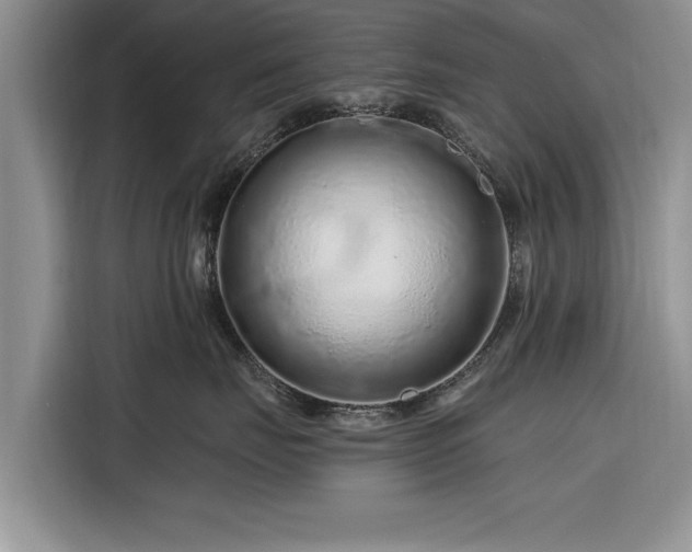 X0000116280671200912071151