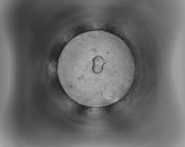 X0000116280672200912071151