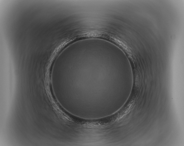 X0000116280673200912071151
