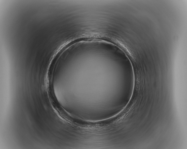 X0000116280674200912071151