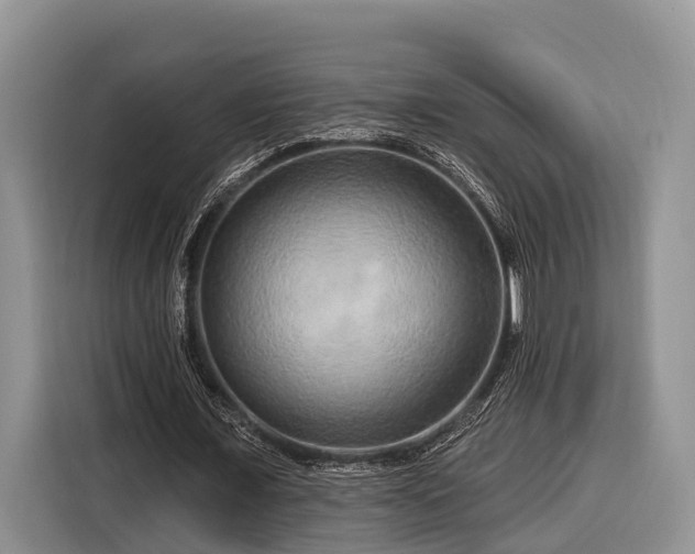 X0000116280675200912071151