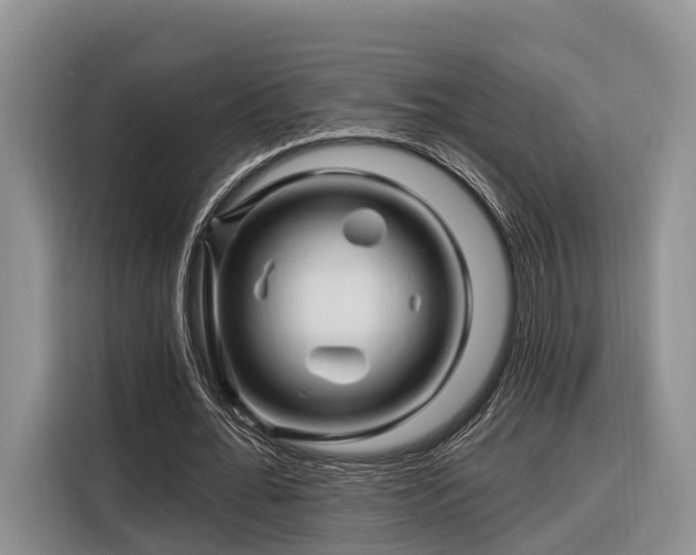 X0000116280676200912071151