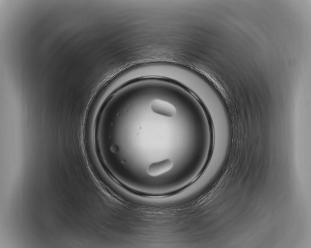 X0000116280677200912071151
