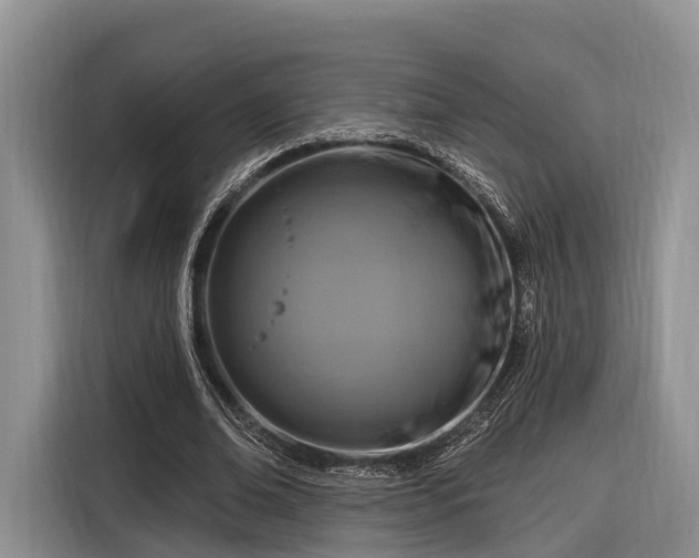 X0000116280678200912071151