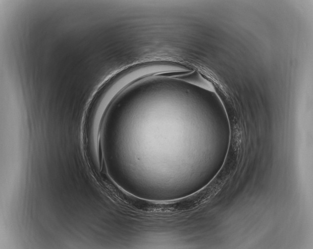 X0000116280680200912071150