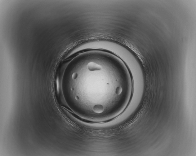 X0000116280681200912071150