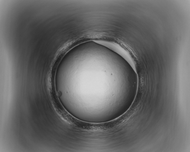 X0000116280682200912071150