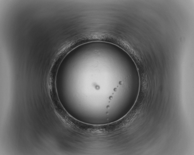 X0000116280683200912071150