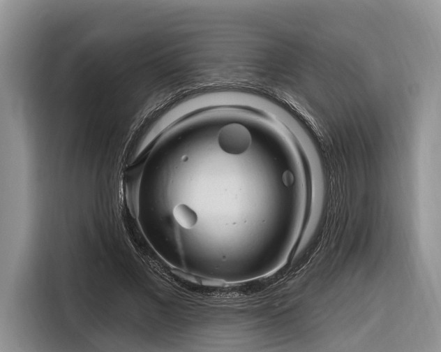 X0000116280685200912071150