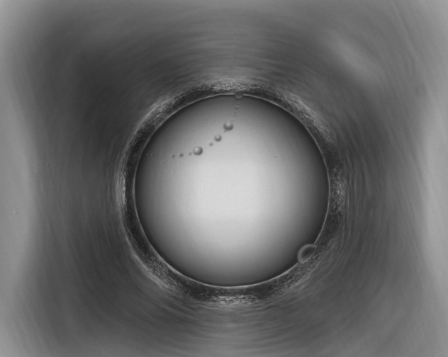 X0000116280686200912071150