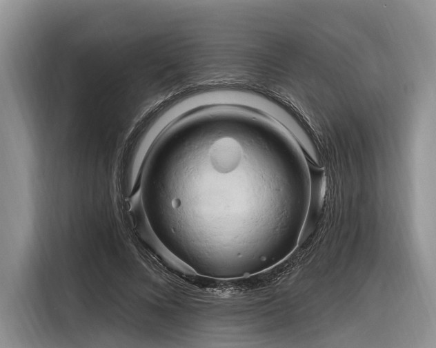 X0000116280688200912071150