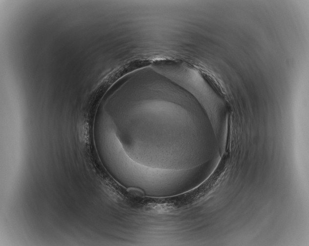 X0000116280689200912071150