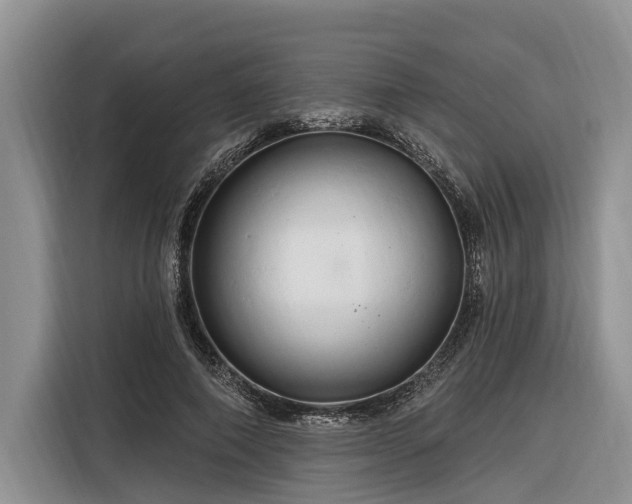 X0000116280690200912071150