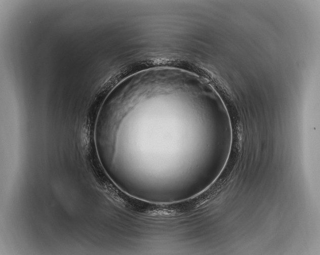 X0000116280691200912071150
