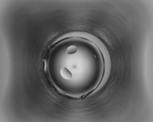 X0000116280692200912071150