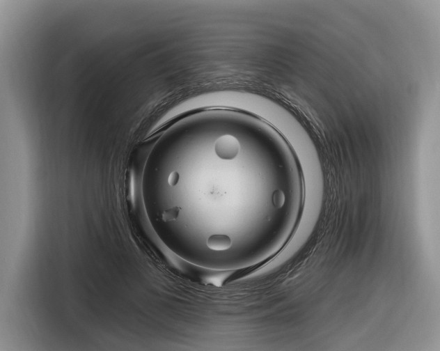 X0000116280693200912071150