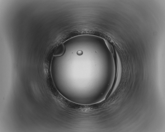 X0000116280695200912071150