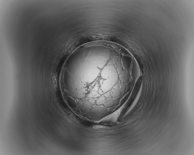 X0000116280699200912071150