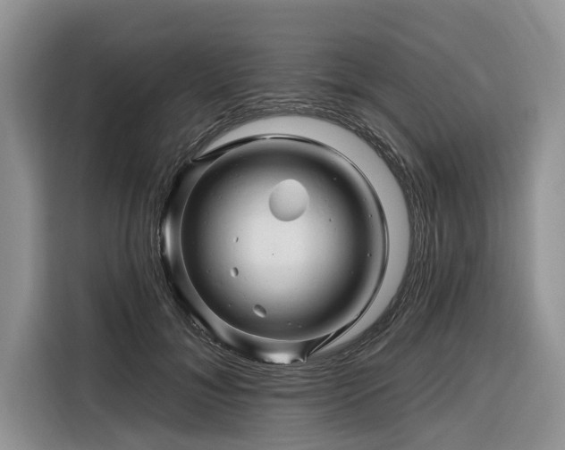 X0000116280700200912071150
