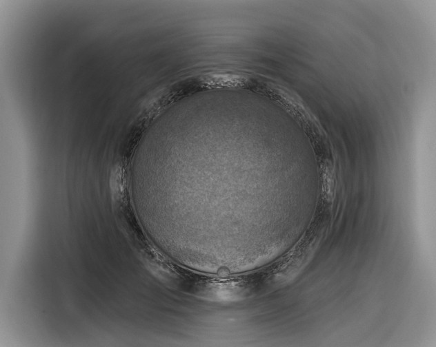 X0000116280701200912071150
