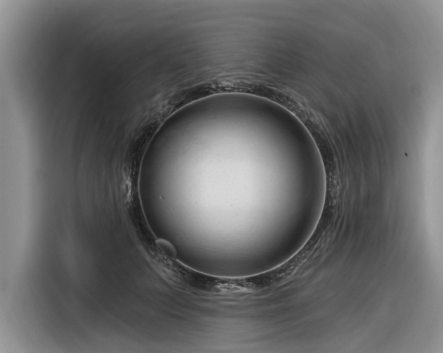 X0000116280703200912071150