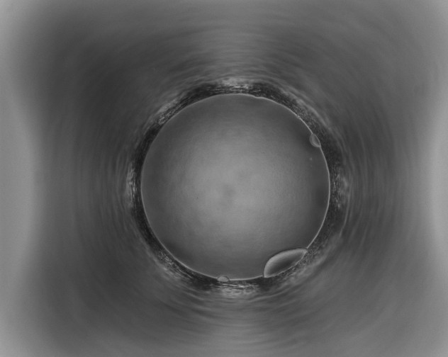 X0000116280707200912071150