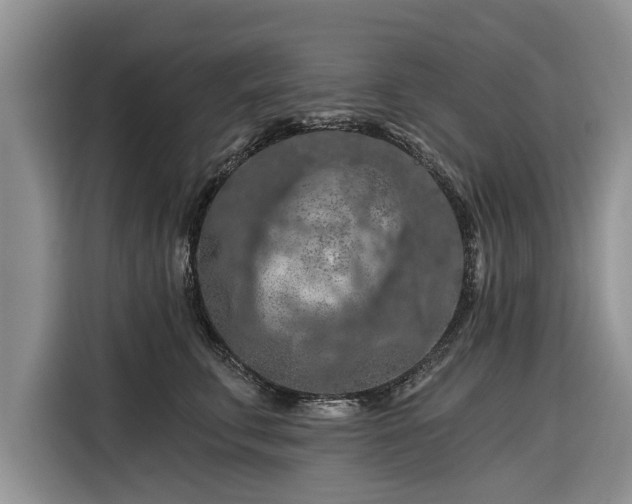 X0000116280711200912071150