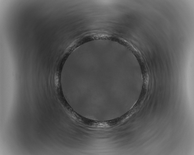 X0000116280715200912071150