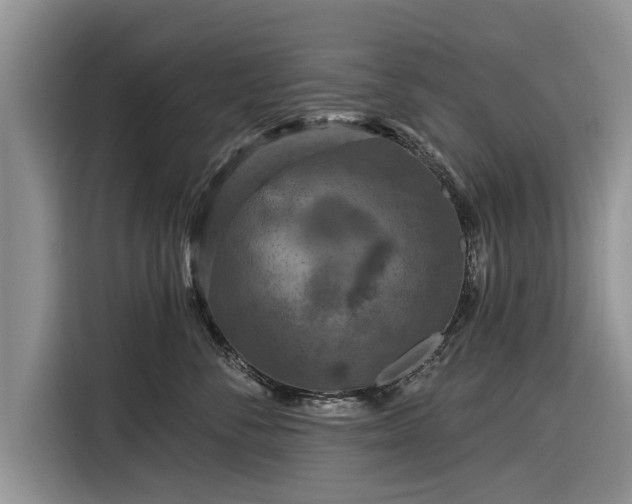 X0000116280716200912071150