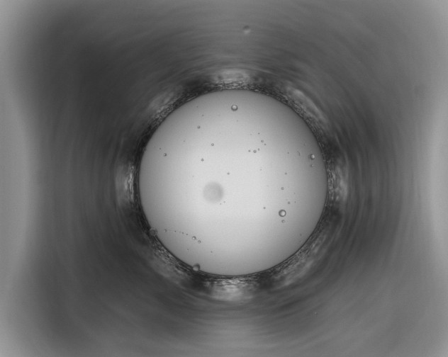 X0000116280717200912071150
