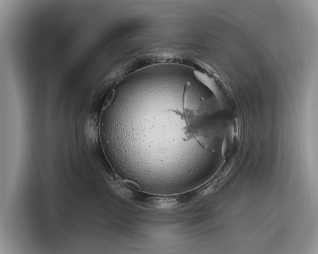 X0000116280719200912071150