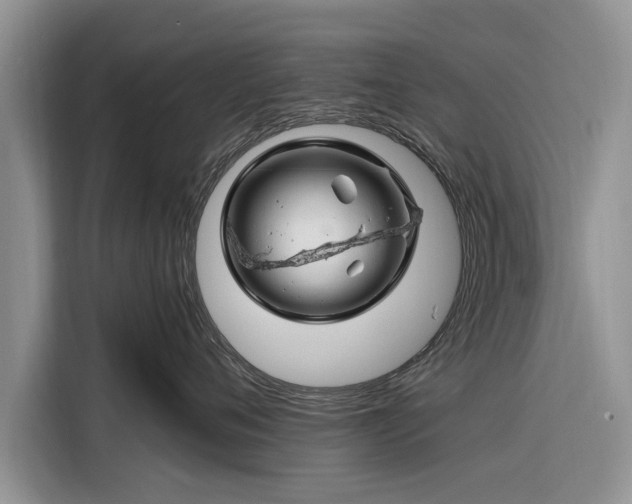 X0000116280720200912071150