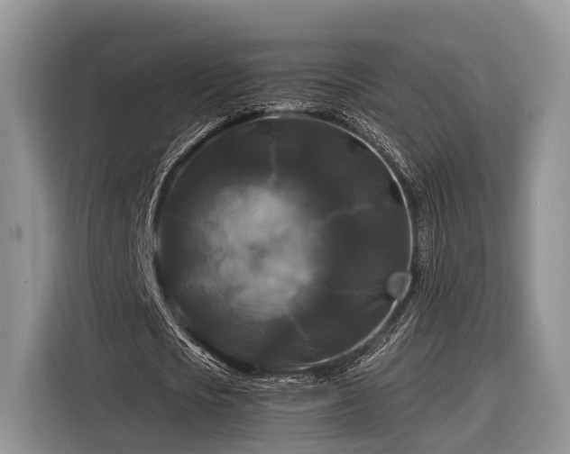 X0000116280721200912071149