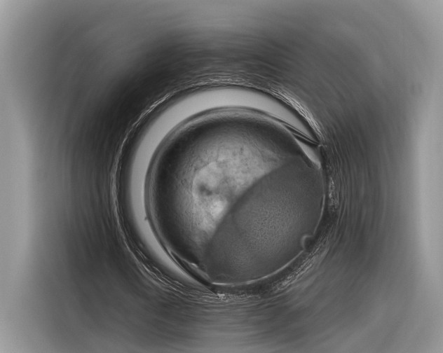 X0000116280722200912071149
