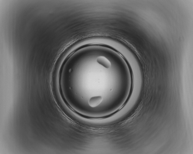 X0000116280725200912071149