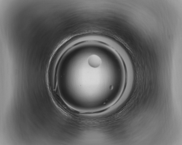 X0000116280726200912071149