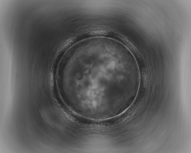 X0000116280729200912071149