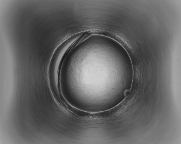 X0000116280730200912071149