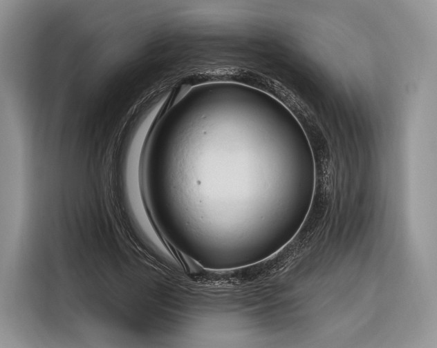 X0000116280731200912071149