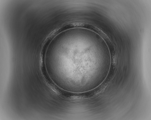 X0000116280733200912071150