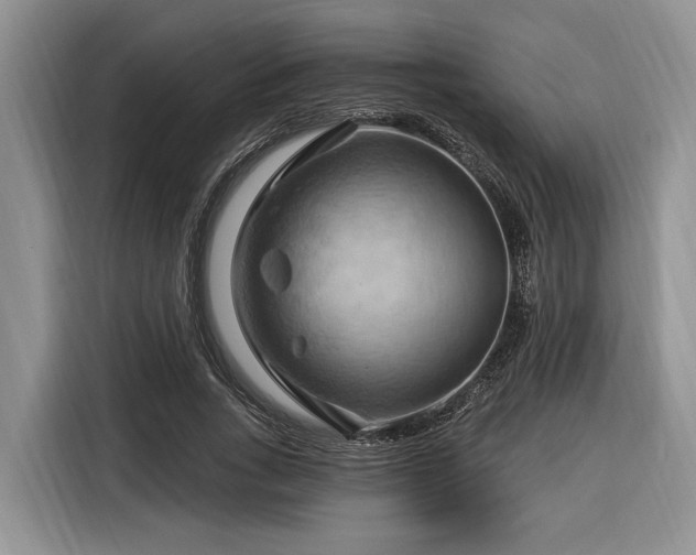 X0000116280735200912071150