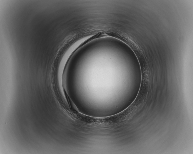 X0000116280738200912071150