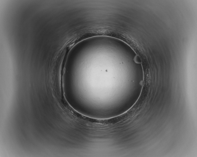 X0000116280739200912071150