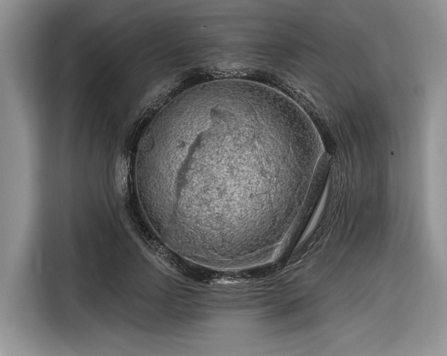 X0000116280742200912071150