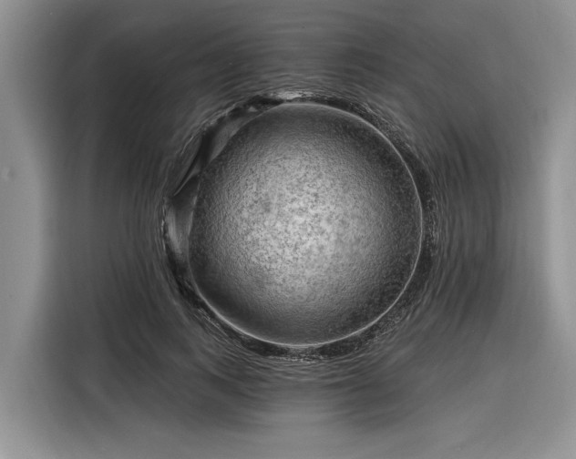X0000116280743200912071150