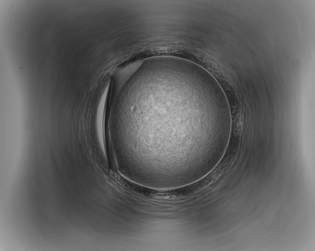 X0000116280746200912071150