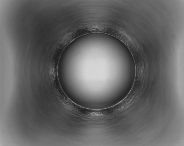 X0000116280749200912071150