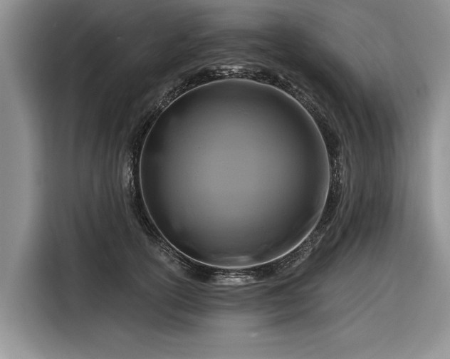 X0000116280754200912071150