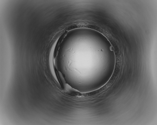 X0000116280755200912071150