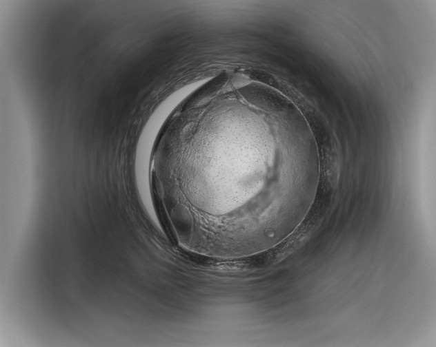 X0000116280758200912071150